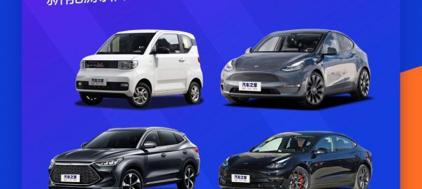 Top 10 Hot Selling EV in March 2022 5